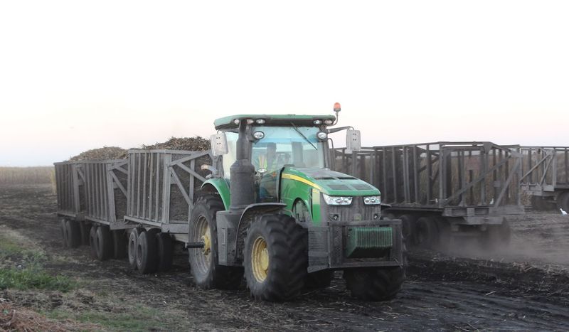 The Muck: Rich Dark Soil That Makes It All Possible