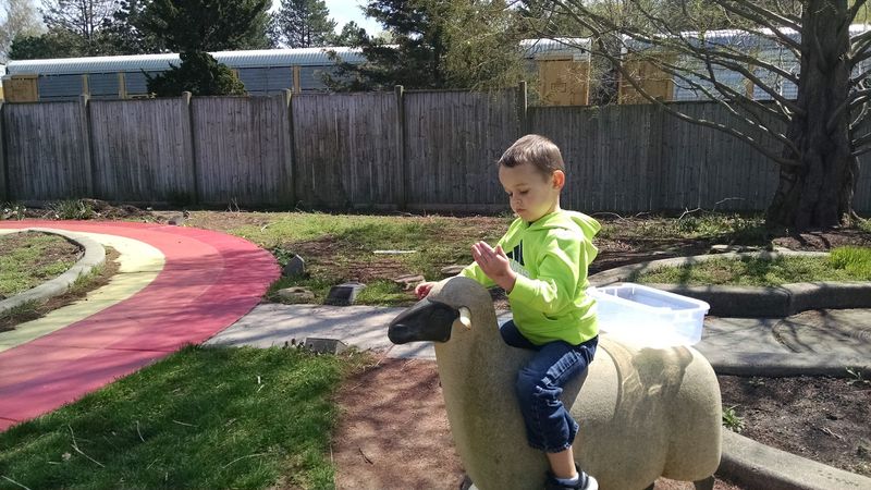 Music Underfoot: The Chimes You Walk On