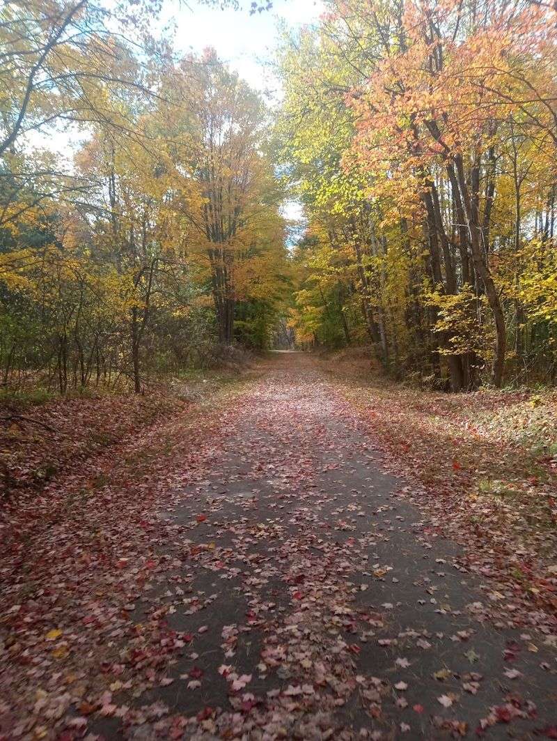 Best Times to Ride and What Each Season Offers