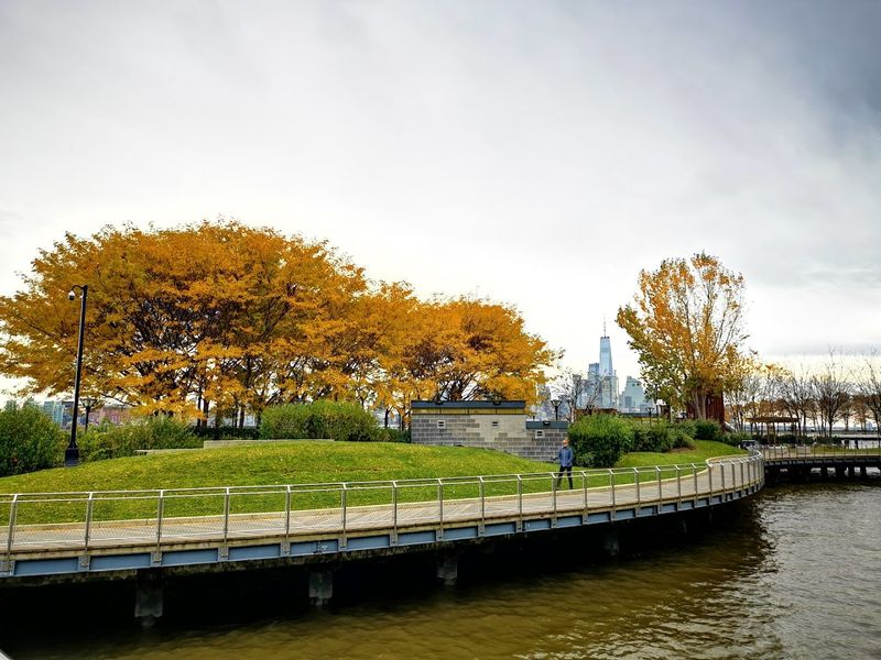 Dog-Friendly and Proud of It