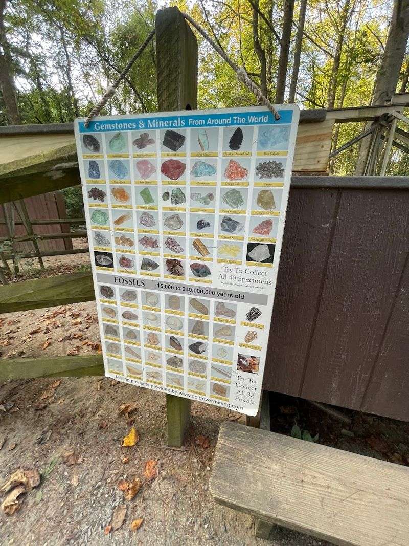 Gift Shop and Extras Worth Knowing About