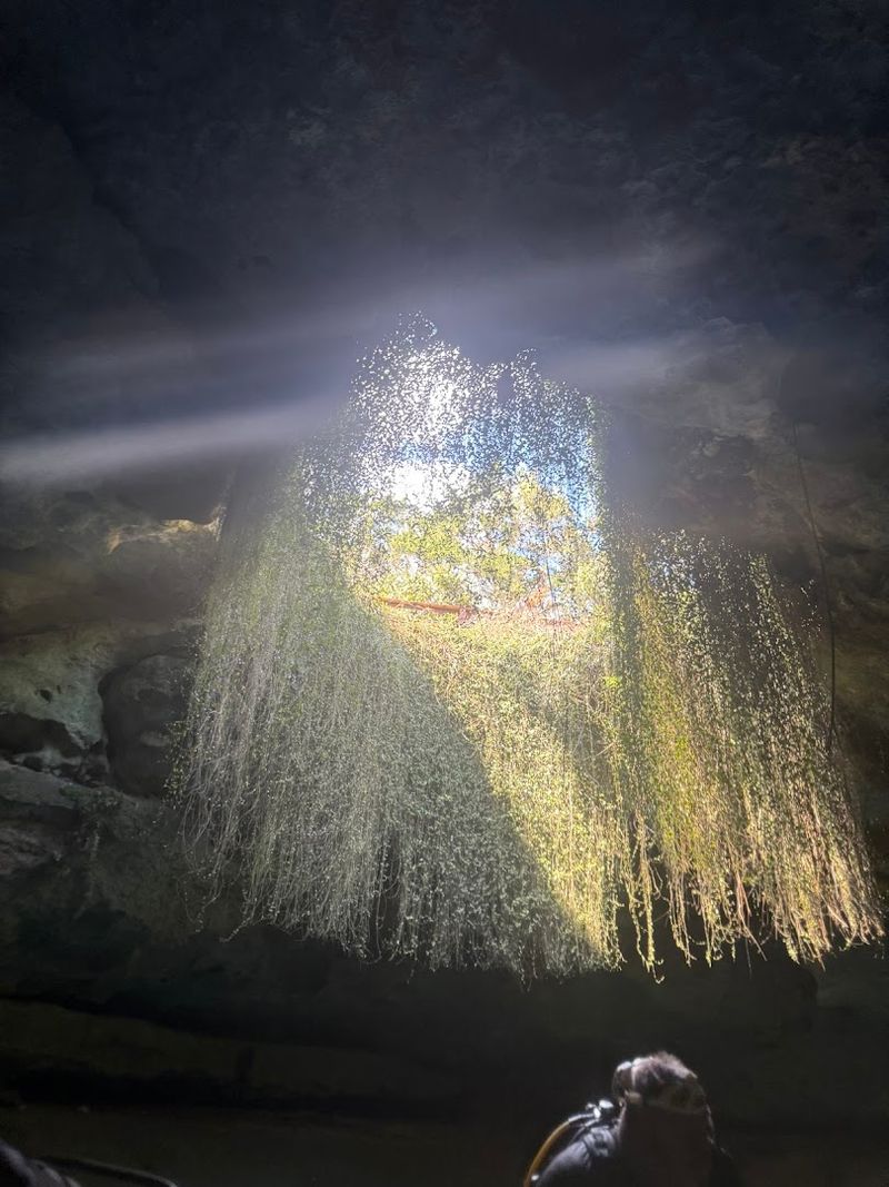 The First Moment You See the Water