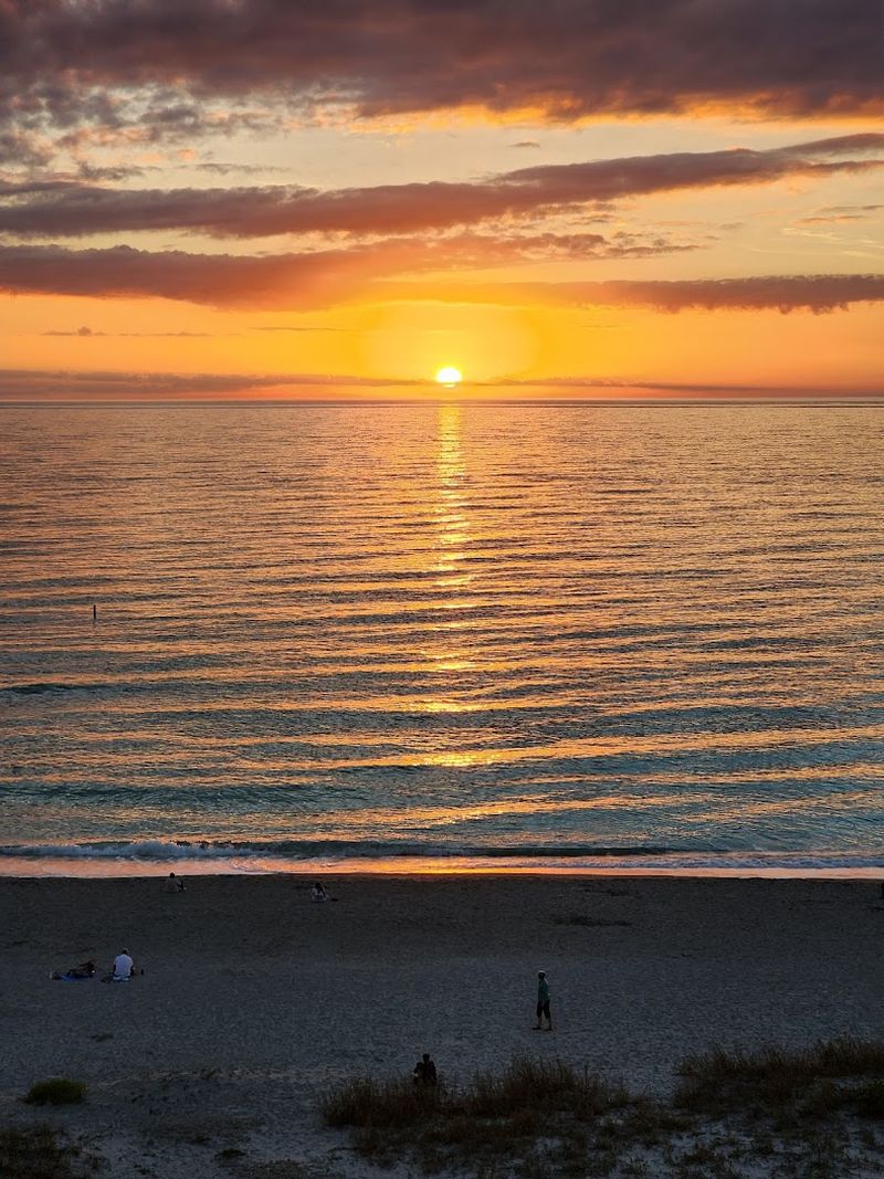 How to Actually Find Shark Teeth Like a Pro