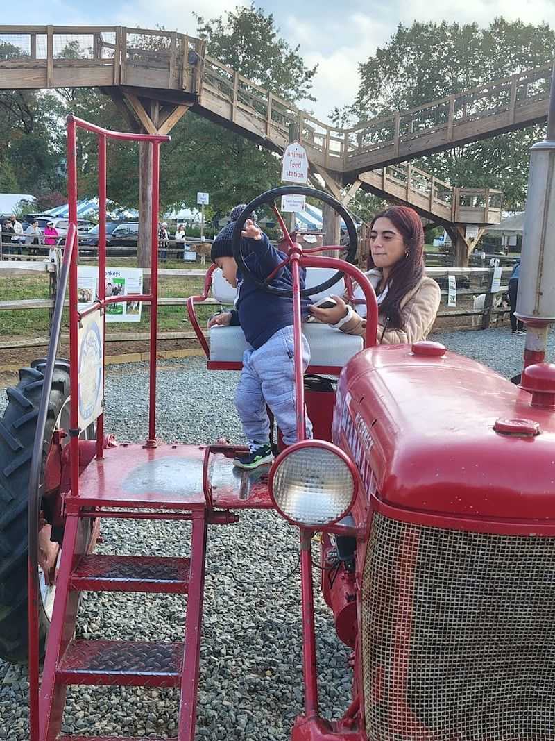 Tractor Rides and Getting Around the Property