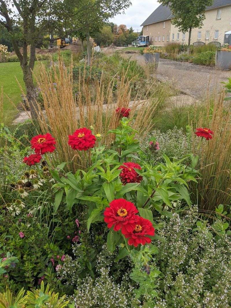 Golf Cart Tours That Make the Whole Site Accessible