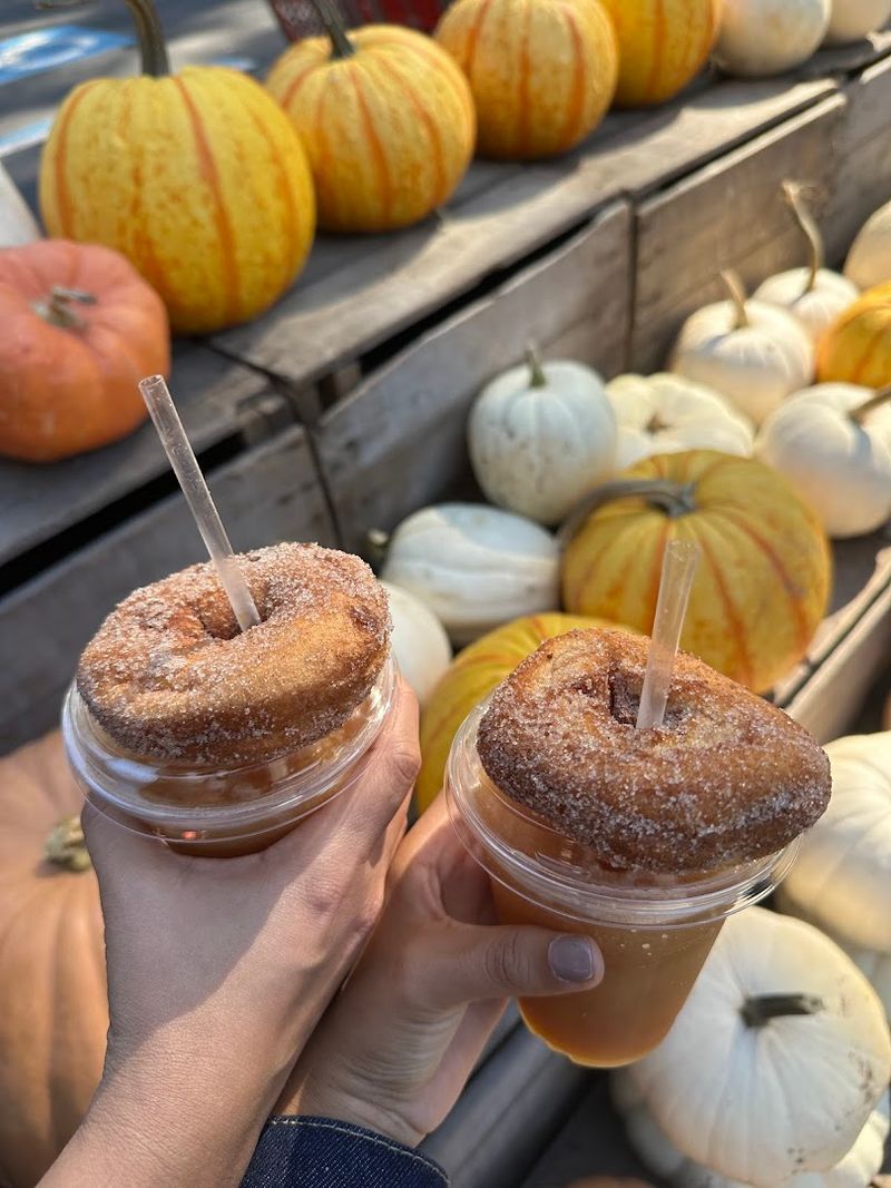 Apple Cider in Every Form You Can Think Of