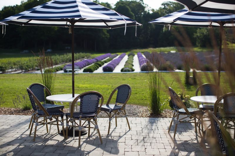 Photography Opportunities That Will Fill Up Your Camera Roll