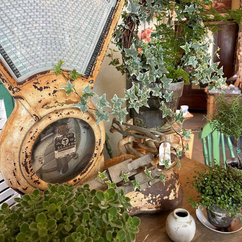 Clothing and Jewelry Worth Browsing Slowly