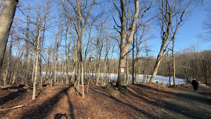 Feeling Like Wilderness Inside a Town