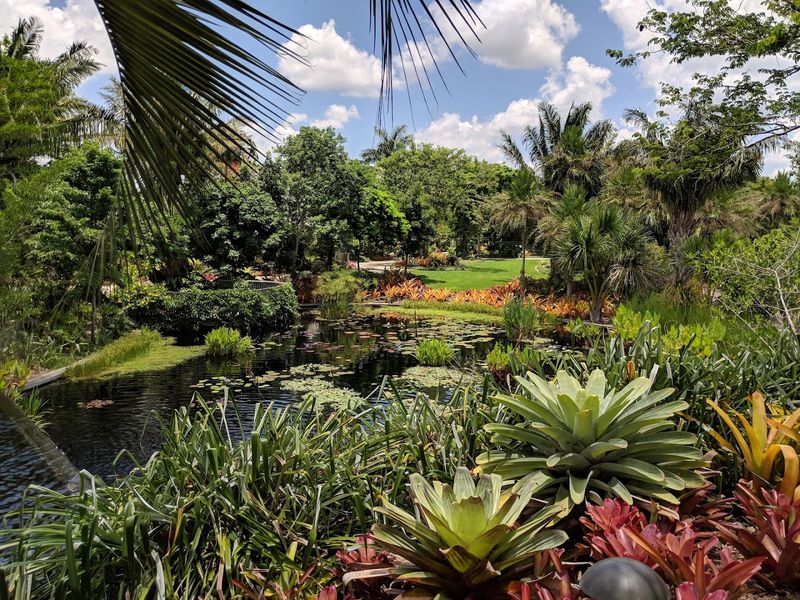 The Caribbean Garden: Florida's Wild Tropical Roots
