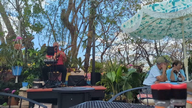 Live Music and Evening Energy