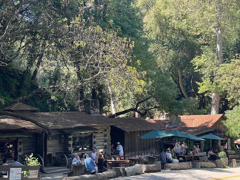 Outdoor Dining Under the Trees