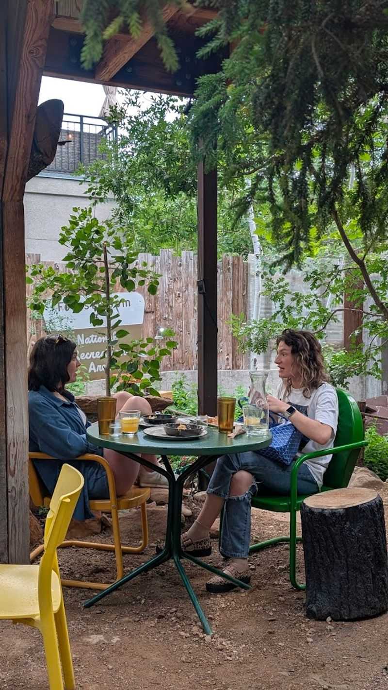 Why Forest Room 5 Stands Out in Denver's Bar Scene