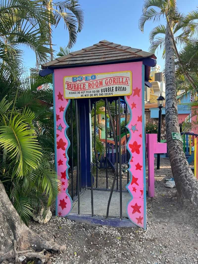 Tips for Navigating the Wait