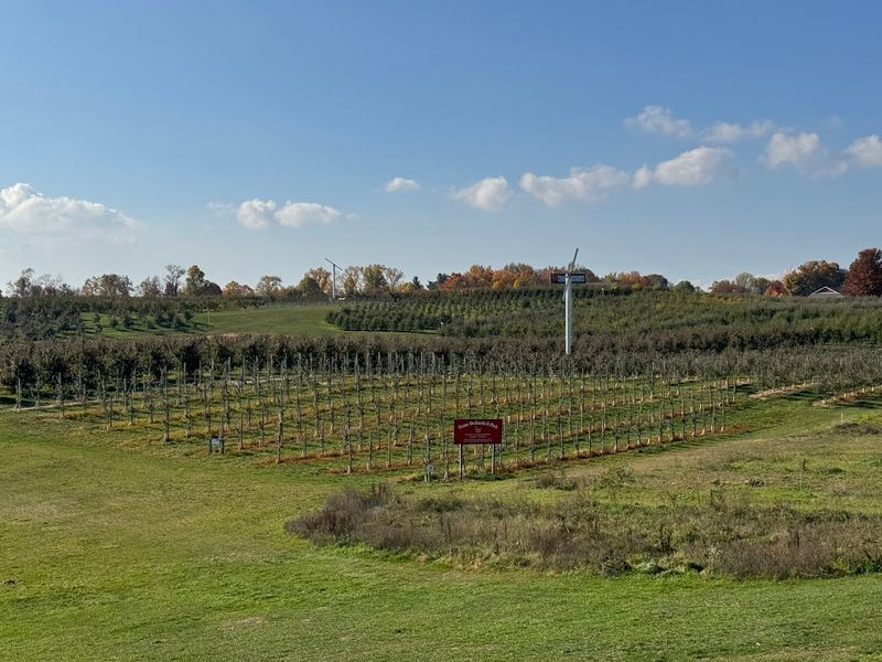 Fall Visits and the Orchard Season Experience