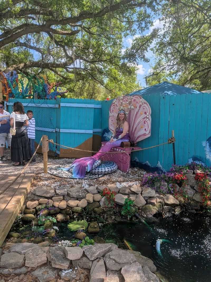 Mermaid Cove and Unique Attractions Beyond the Main Stage