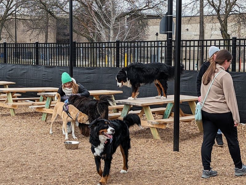 Planning Your First Visit: What You Need to Know