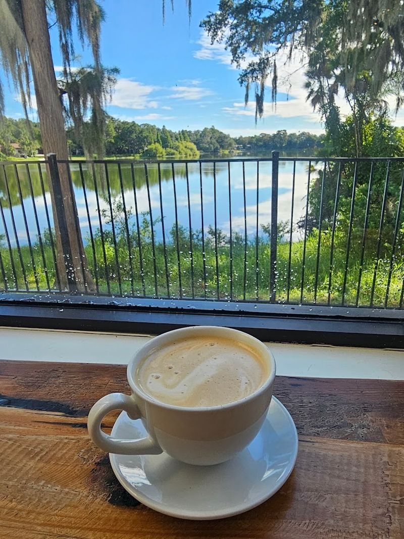 The Backyard Water View