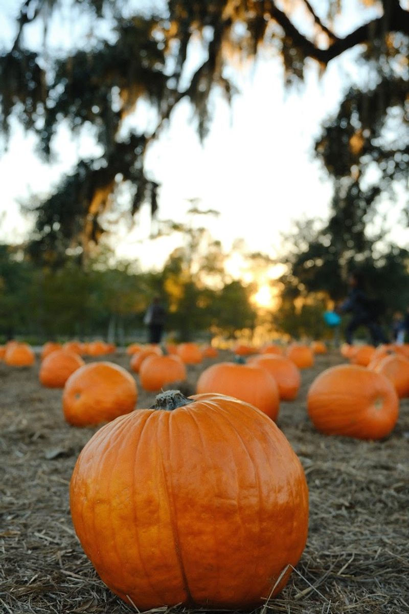 Events That Make Every Season Worth Visiting