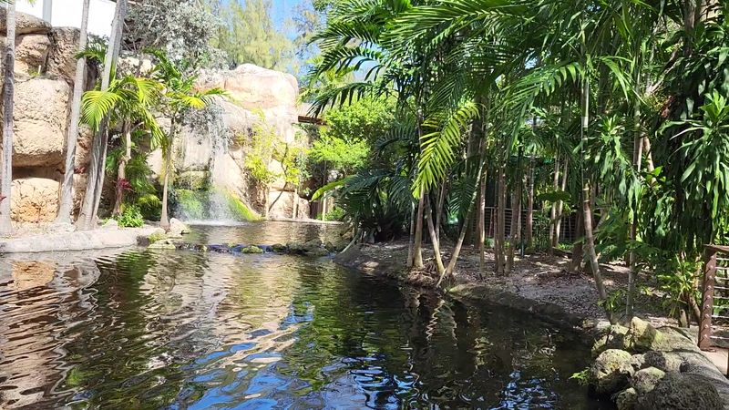 What the Garden Actually Looks Like