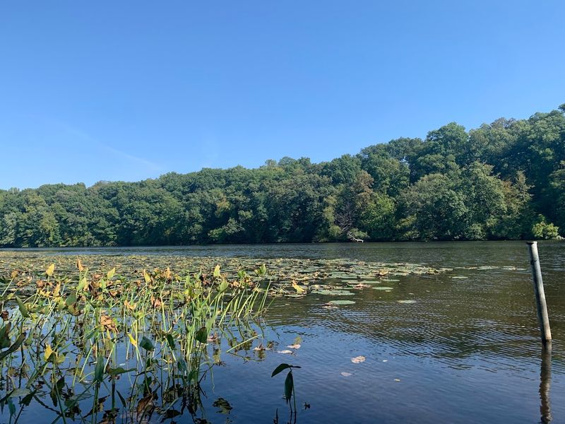 Birds, Wildlife, and What Lives Along the Water