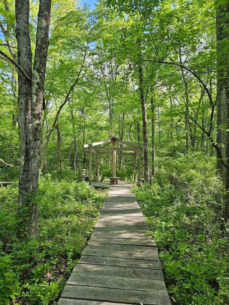 What 142 Acres of Forest Actually Looks Like