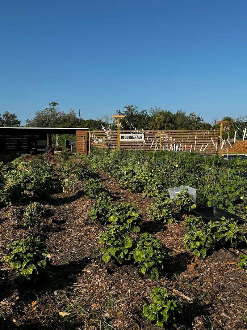 Farm Tours and the Experience Beyond the Plate