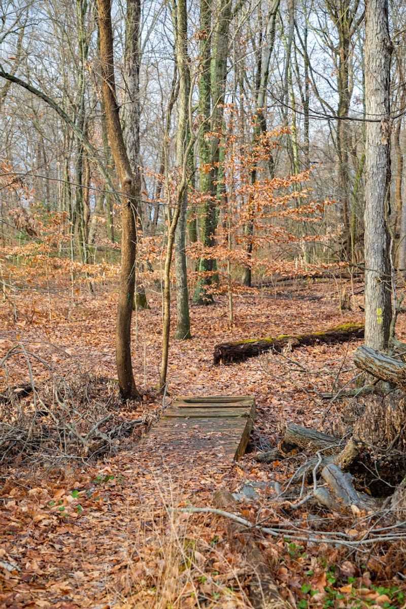 A Network of Walking Paths Worth Exploring