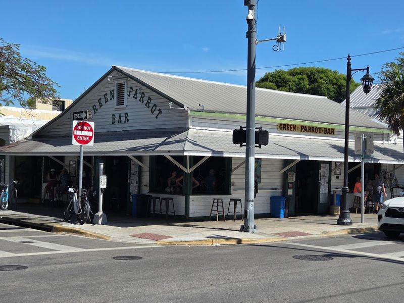 Key West's Free-Roaming Chickens and the Bar's Sidewalk Scene