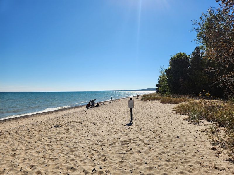 Dog-Friendly Beaches That Actually Deliver