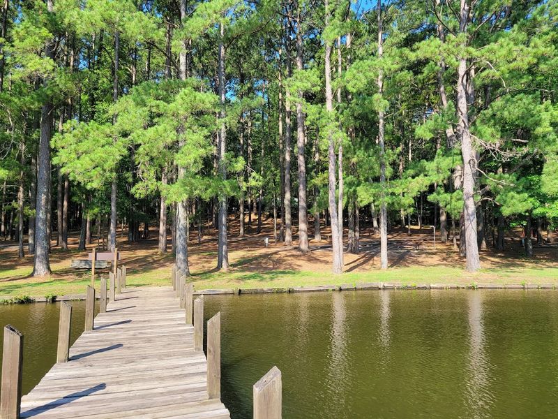 Disc Golf Courses Worth a Special Trip