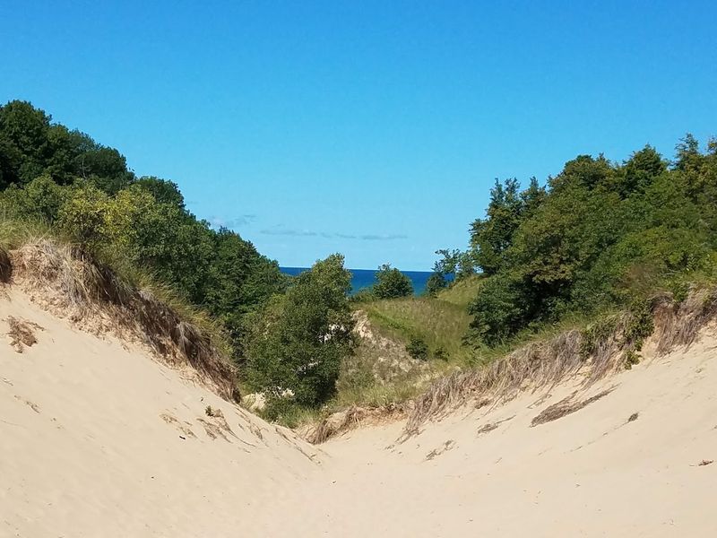 Ecosystems That Shift With Every Hundred Feet