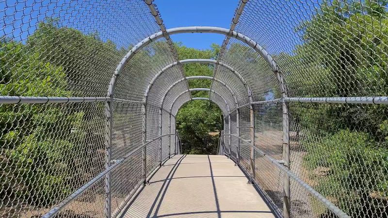 Getting from Camp to Shore Without Crossing Traffic