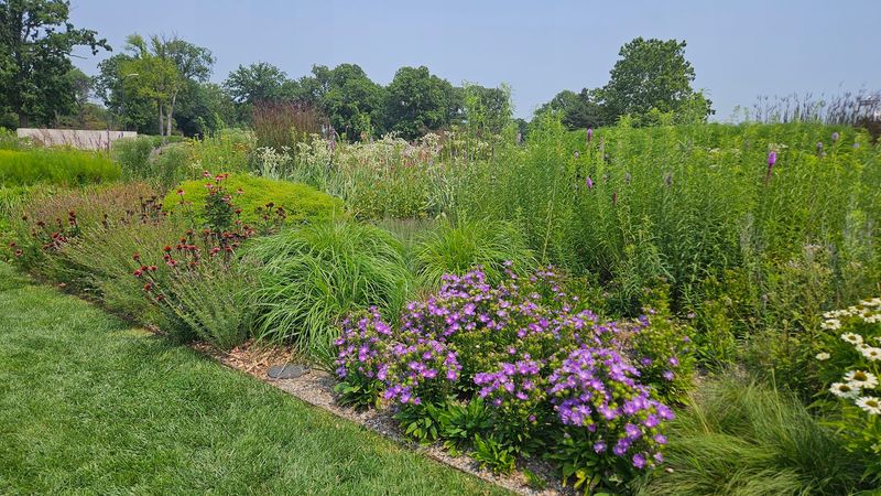 Tips for Getting the Most Out of Your Visit