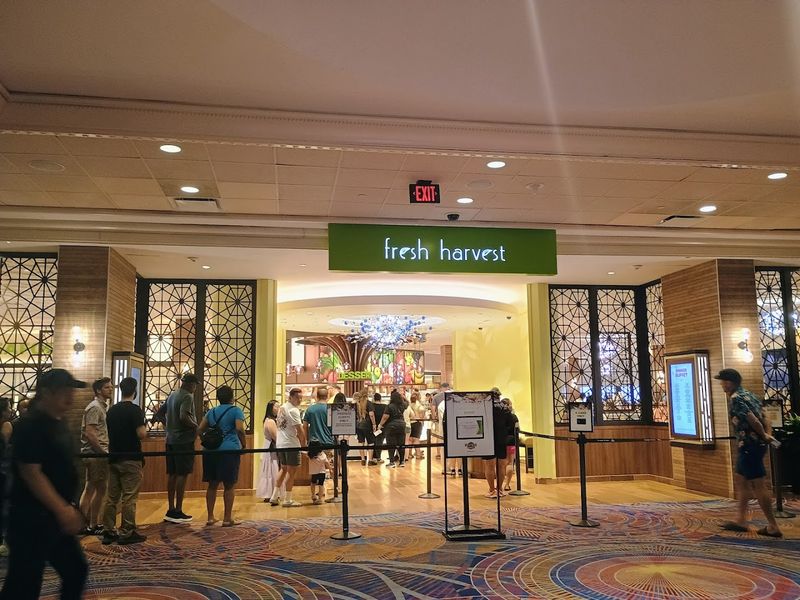 Where to Find It and What to Expect