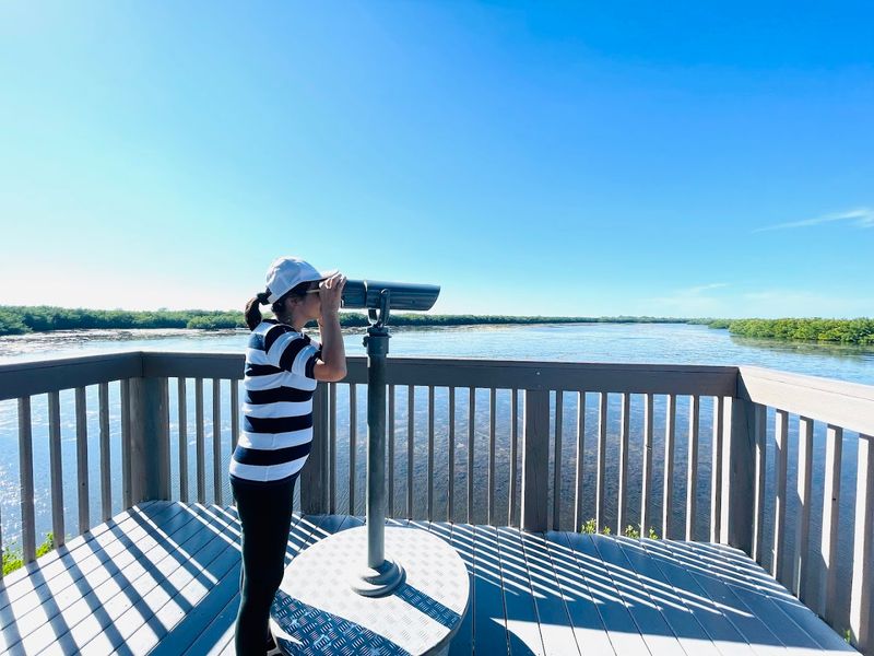 Pull-Offs Reward The Curious