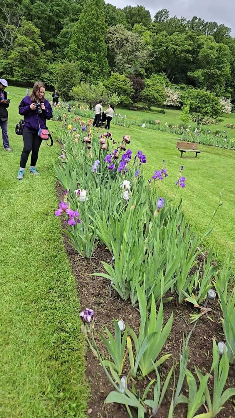 A Garden Built by Volunteers