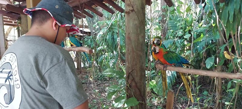 Photography Opportunities in the Garden