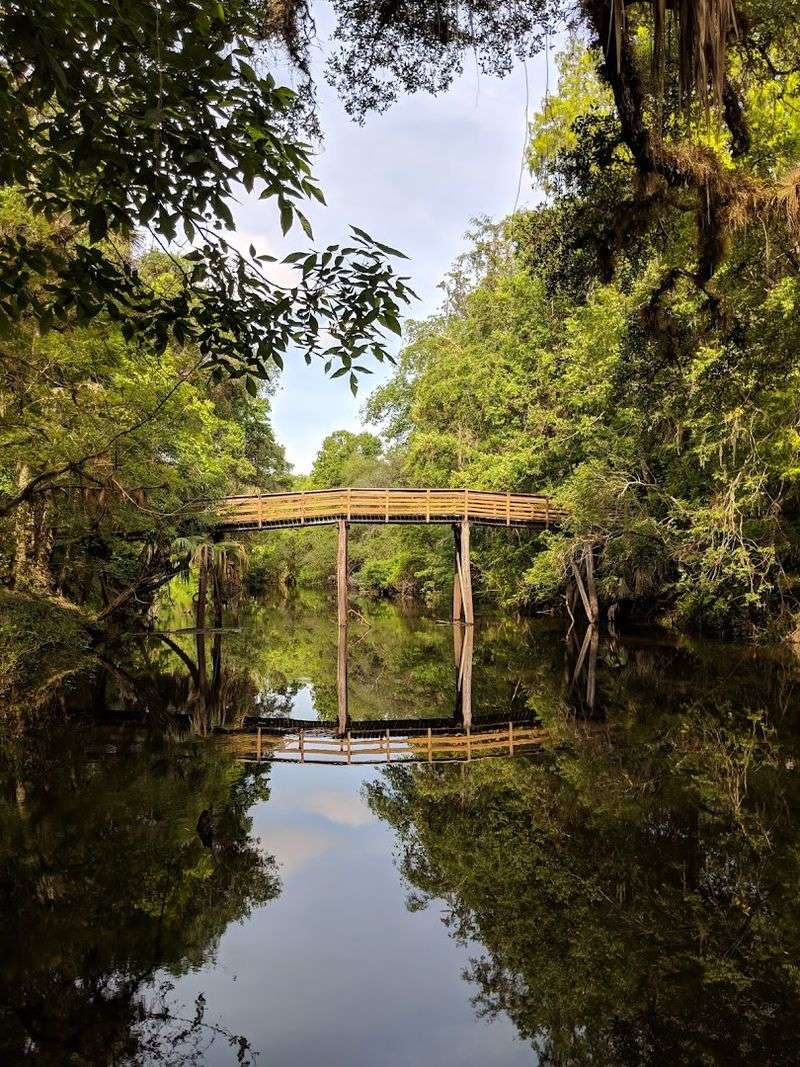 What the Entrance Fee Gets You and Why It Is Worth It