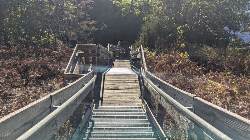 Tips for Making the Most of Your Visit Here