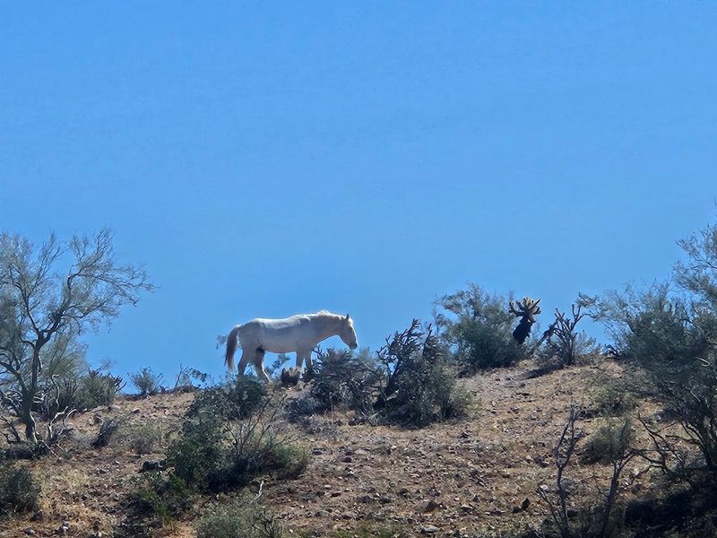 Photography Tips for Getting Great Shots