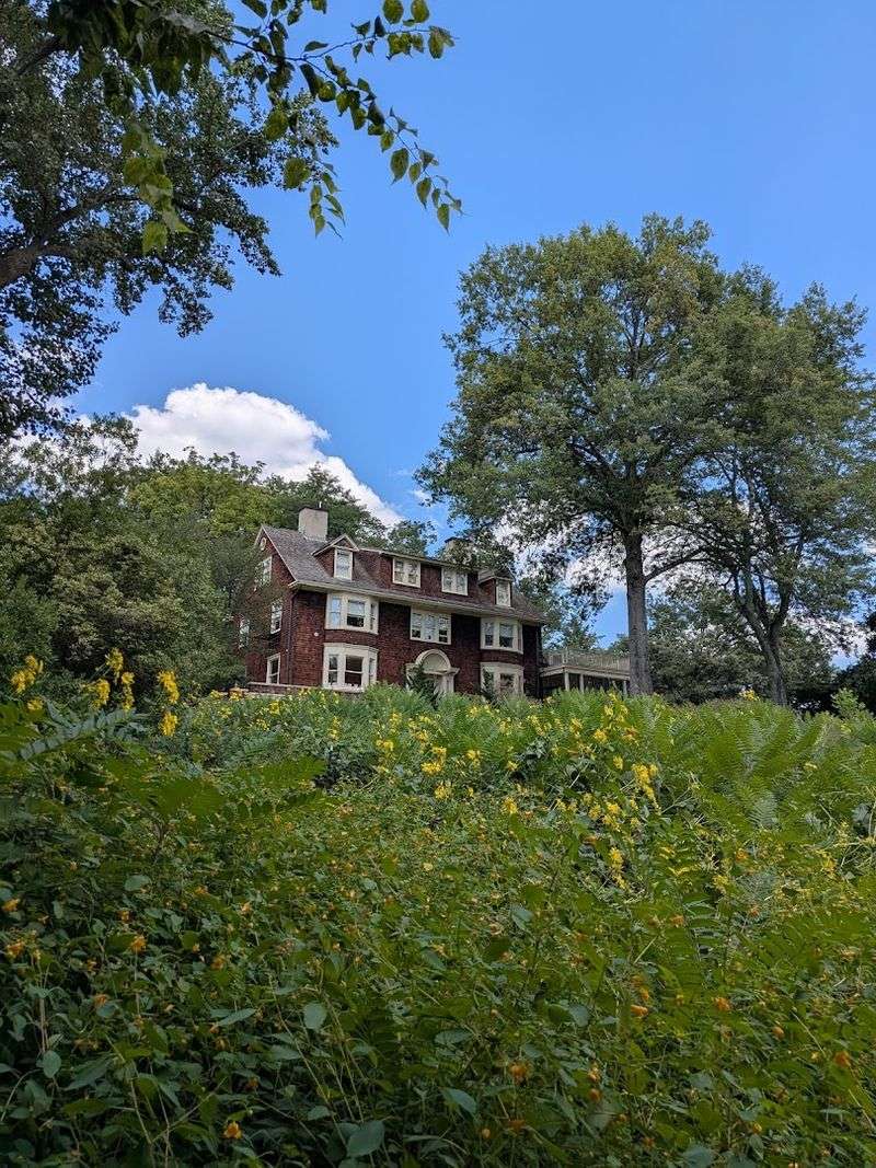 A Space That Feels Preserved on Purpose