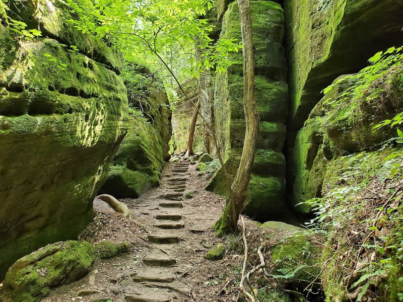 What the Trail Actually Feels Like Underfoot