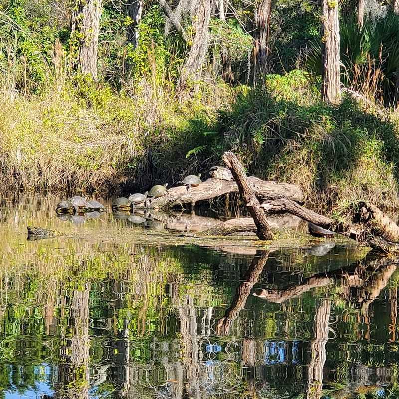 The Creek Trail: Where the Water Steals the Show