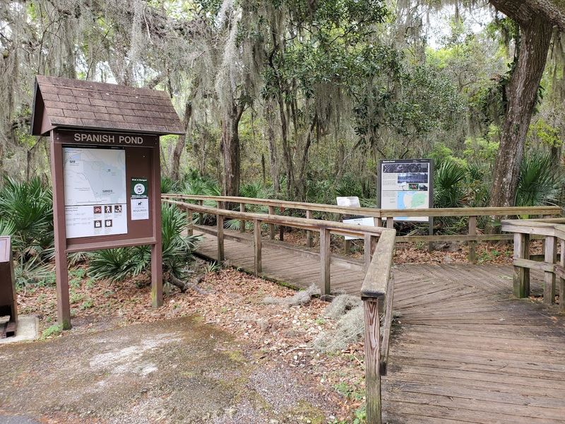 Ranger-Led Tours: Learning the Trail from Someone Who Knows It