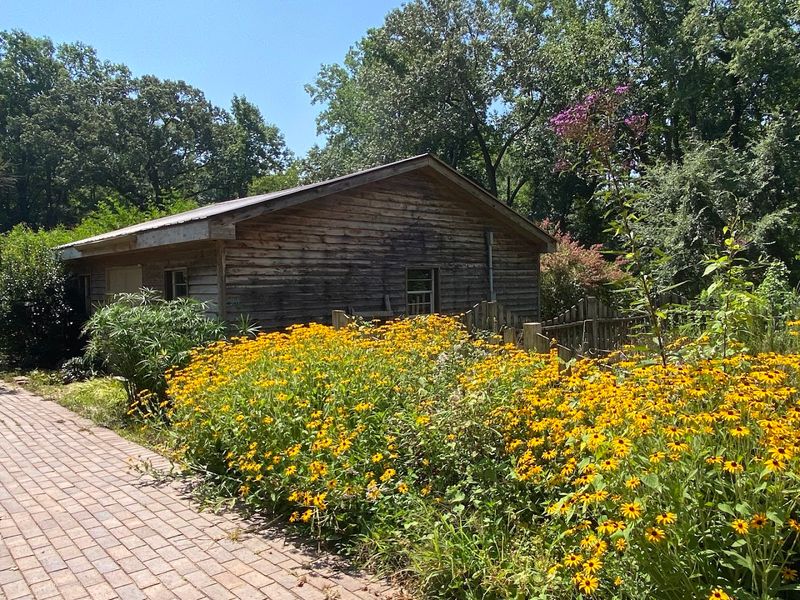 The Gift Shop and Art Gallery: A Creative Corner Worth Exploring