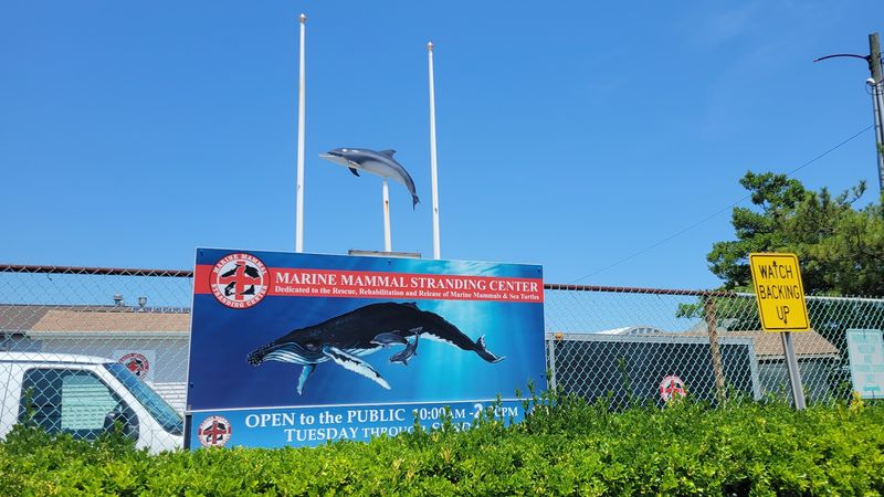 When to Visit and How to Make the Most of Your Trip