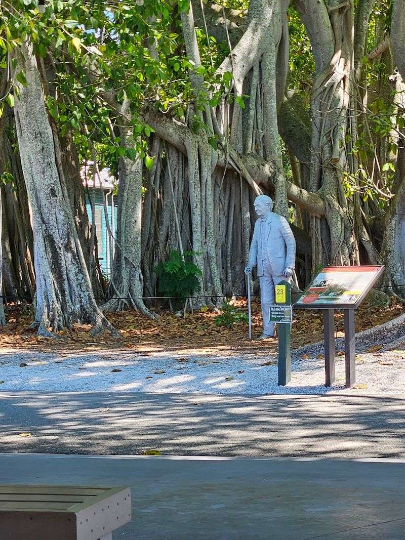 The Legendary Banyan Tree