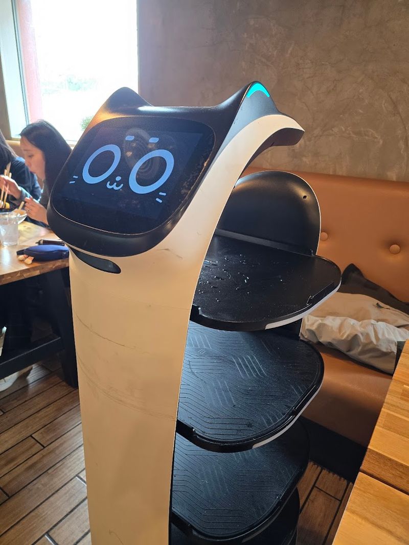 Meet the Robot Server You Did Not Know You Needed