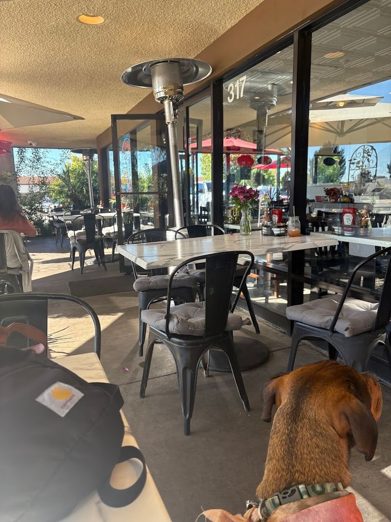 A Dog-Friendly Experience Unlike Any Other